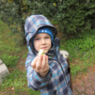 Nyuszis kézműves tábor az MMK-ban