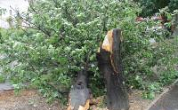 Másodfokú riasztás és viharkárok Fejér megyében 