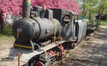 Muki helyet kap a városközpontban