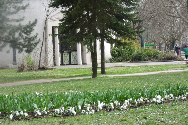 Tulipánoktól a gyepszőnyegig