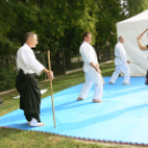 VI. Dunaújvárosi Sportválasztó és IV. Hangszerválasztó