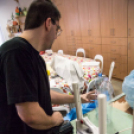 Környezettudatosság a főiskolán