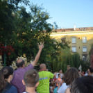 Guinness rekord újatöltve -Alexandra Treit Busai és mások képei