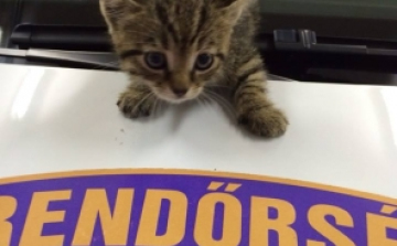 Az iváncsai rendőrök és a kiskandúr