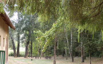 Európai Mobilitási Hét