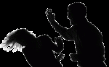 Testi sértés és lopás bűntette