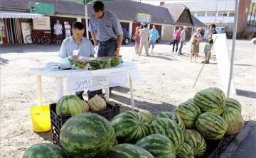 Kiemelten ellenőrzik a hatóságok a szezonális zöldségek és gyümölcsök árusítását