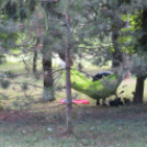 Rockmaraton -kezdetek