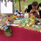 Megyenap városunkban