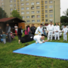 Római városrész napj