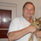 Tetőzik az ár Dunaújváros és környékén - Keresztury János felvételei