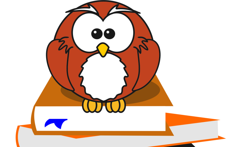 Megvan a győztes: A hónap iskolája decemberben a Hild