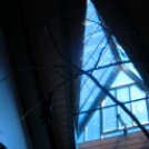 Hónap diákjai az állatkertben