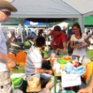 Parázs-varázs képekben