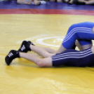 Gurics György birkózó emlék verseny