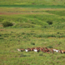 Képeket vegyenek az Arany iskoláért!