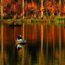 Képeket vegyenek az Arany iskoláért!