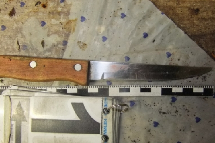 Hasba szúrta nevelt fiát