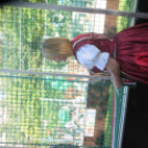 Ovifoci- pályaavató