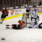 Dunaújvárosi Acélbikák 