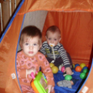 Zengő-bongó bölcsisek hétköznapjai