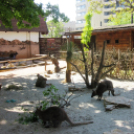 Hónap diákjai az állatkertben