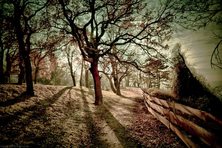 Képeket vegyenek az Arany iskoláért!