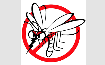 Csütörtökön kezdődik a központi szúnyoggyérítés