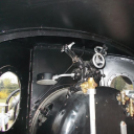 Muki és a vandálok - Gerencsér Tamás felvételei