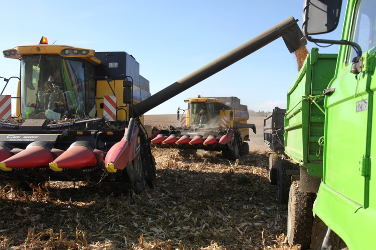Úgy tűnik, bajban a mezőgazdaság