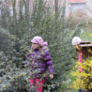 Nyuszis kézműves tábor az MMK-ban