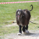 Formula 2-es motorcsónak világbajnokság