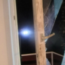 Rendőrkézen a fosztogató