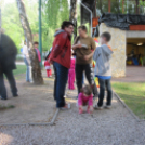 Születés hete - piknik