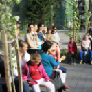 Tehetség nap - képekben