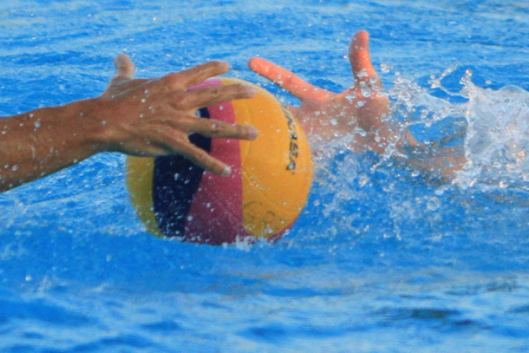 DFVE eredmények, következő mérkőzések