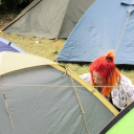 Rockmaraton -kezdetek