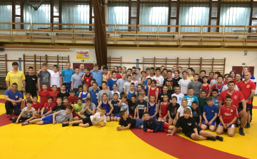 Birkózó regionális tábor