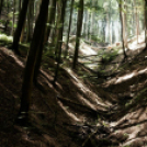 Képeket vegyenek az Arany iskoláért!