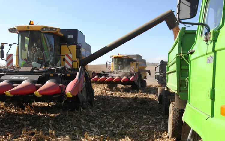 Úgy tűnik, bajban a mezőgazdaság