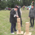 Gyereknap- képekben