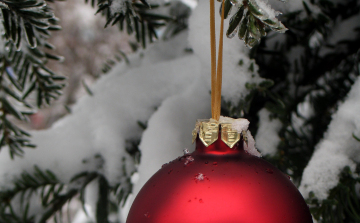 Díszítsünk fát a rászorulóknak!