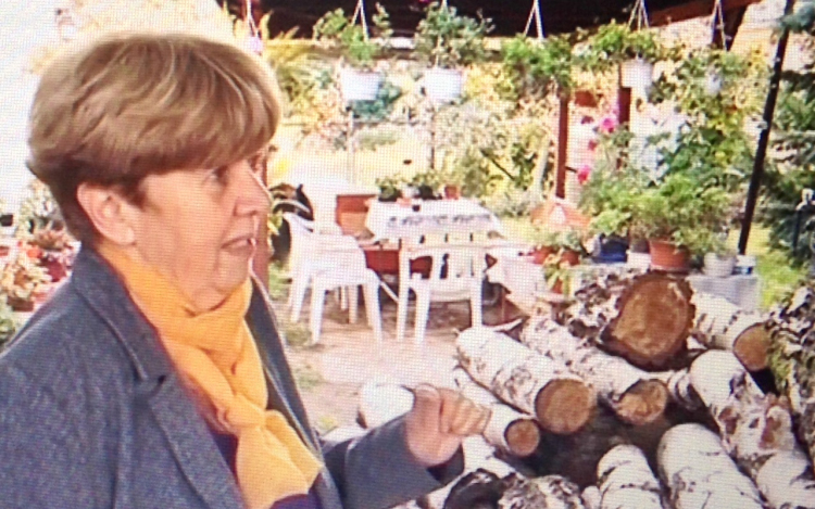 Tűzifát adott a Védőháló