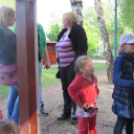 Születés hete - piknik