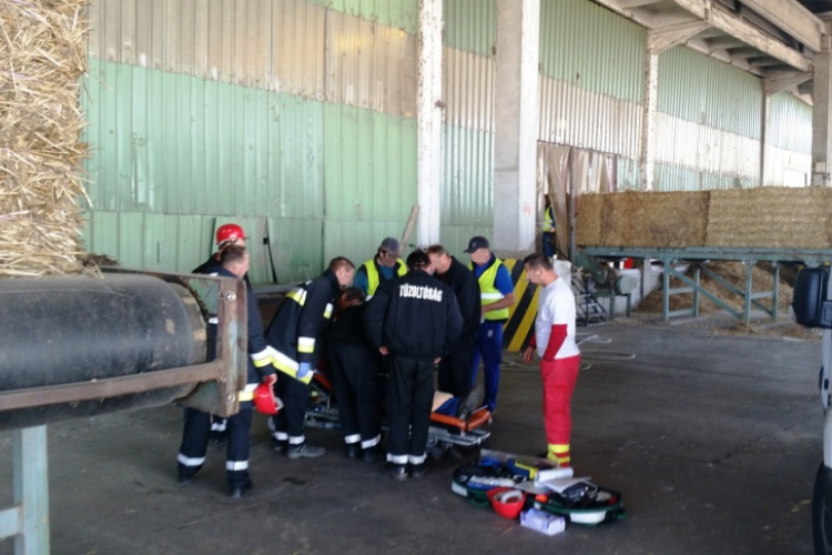 Életet mentettek a Papírgyárban