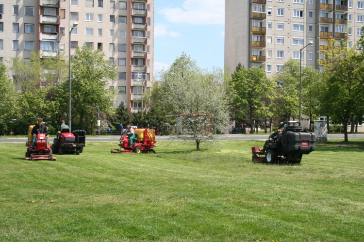 Parkok, erdők ősszel