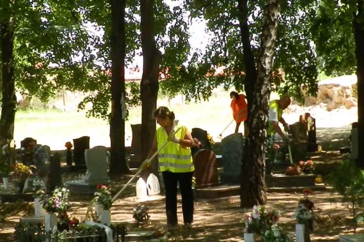 Diákmunkásokat várnak