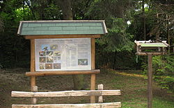 A város közkincse megérdemli a törődést