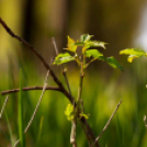 Képeket vegyenek az Arany iskoláért!
