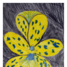 Képeket vegyenek az Arany iskoláért!